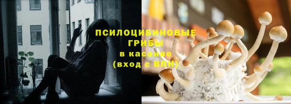 МДПВ Зеленодольск